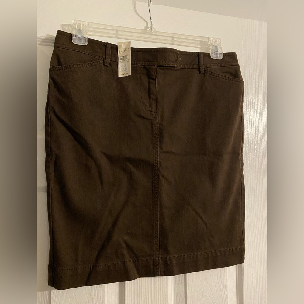Ann Taylor LOFT brown skirt, modest great for Fall!